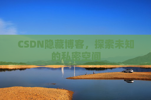 CSDN隐藏博客，探索未知的私密空间